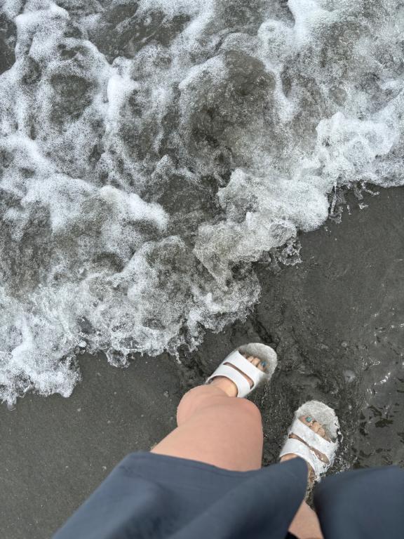 「あいり」の写真