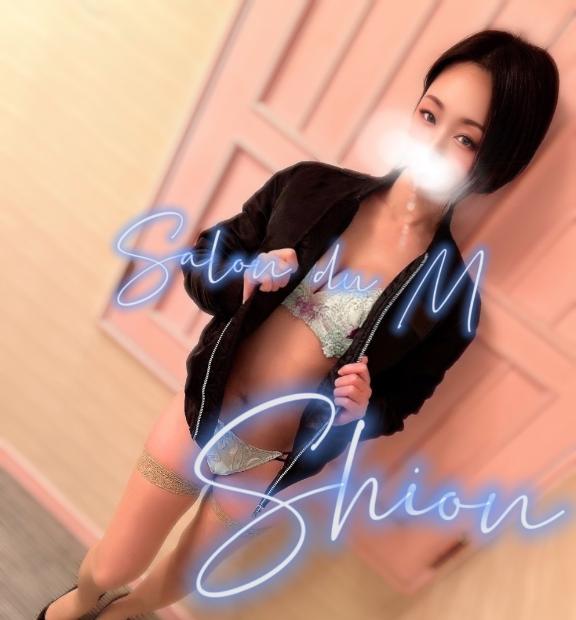 「しおん」の写真