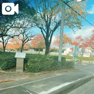 「れい」の写真