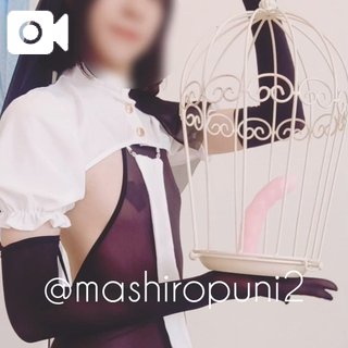 「ましろ」の写真