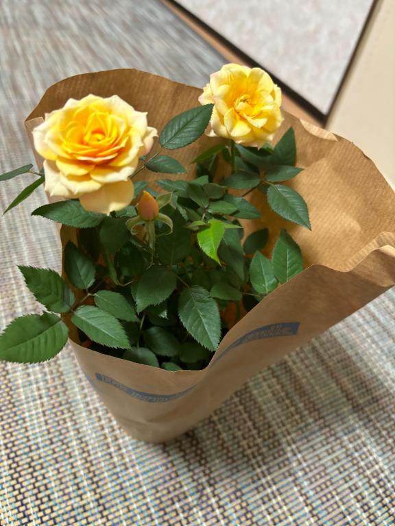 「まき」の写真