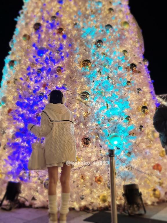 「こはく」の写真