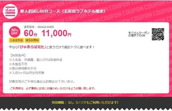 「紫苑（しおん）」の写真