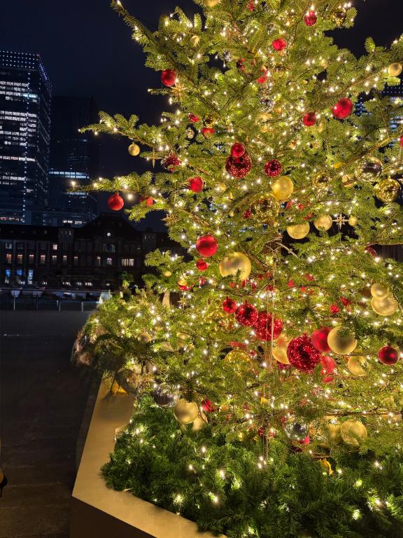 「あいり」の写真