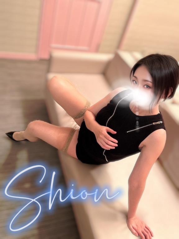 「しおん」の写真