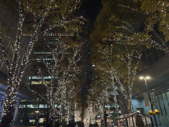 「あんな」の写真