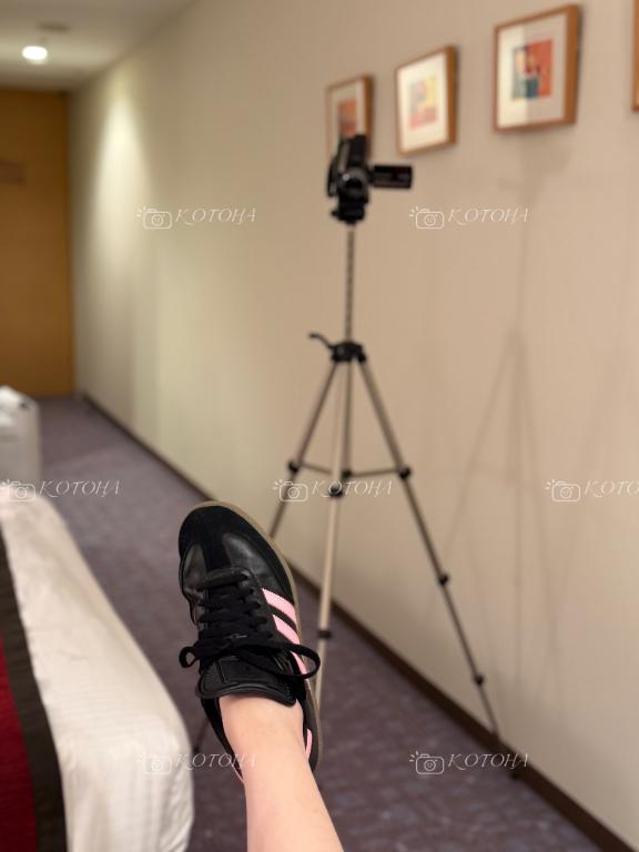 「ことは」の写真