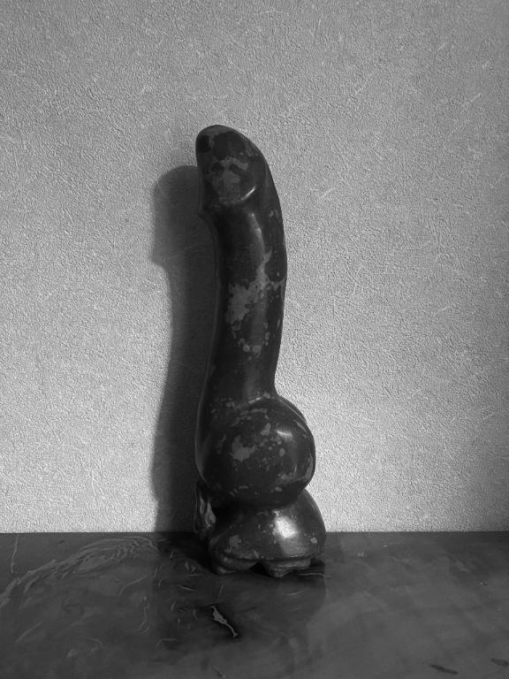 「すみれ」の写真