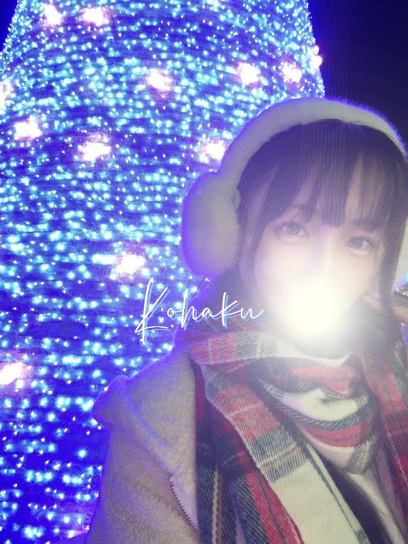 「こはく」の写真