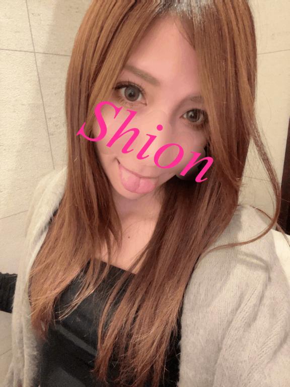 「紫苑（しおん）」の写真