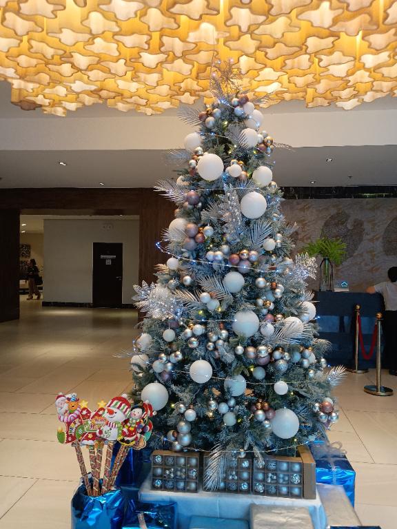 「さくら」の写真