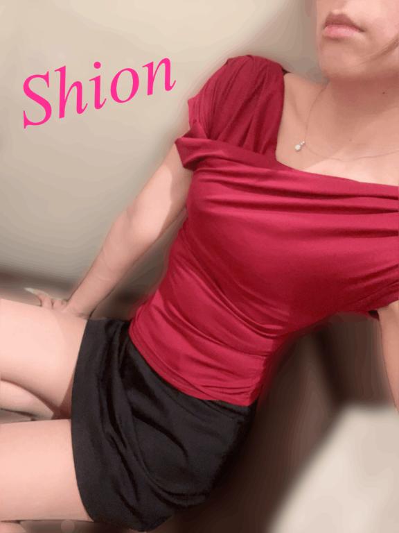 「紫苑（しおん）」の写真