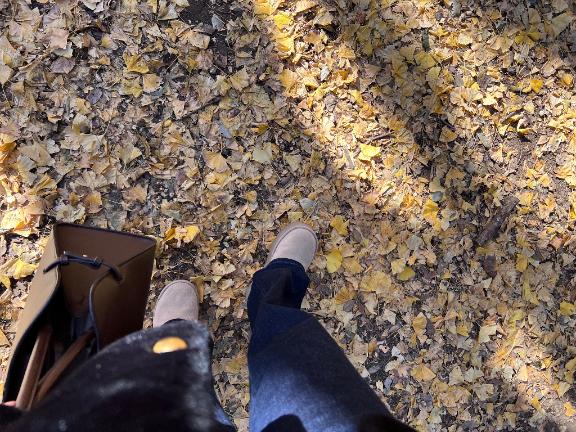 「千尋」の写真