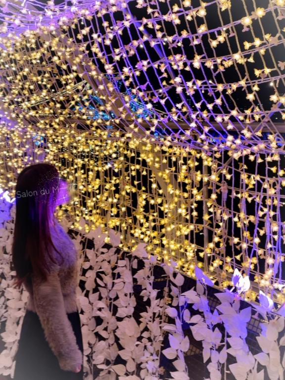 「一花」の写真