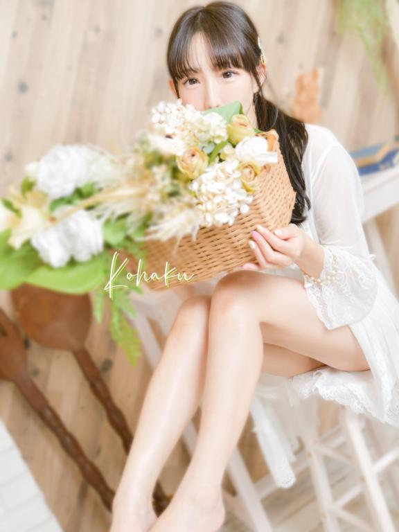 「こはく」の写真