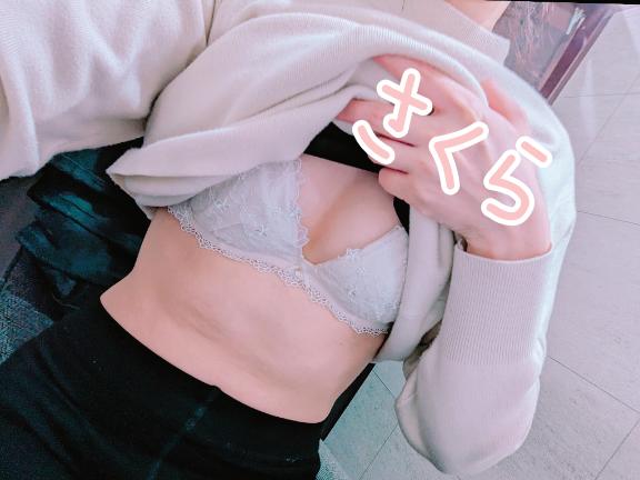 「さくら」の写真