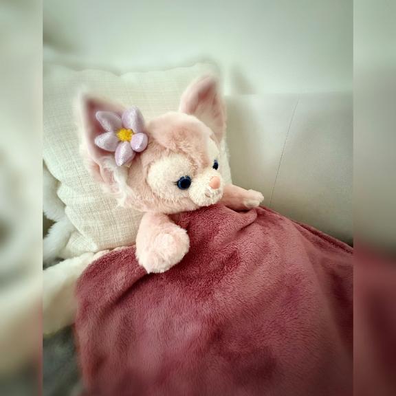 「あいり」の写真