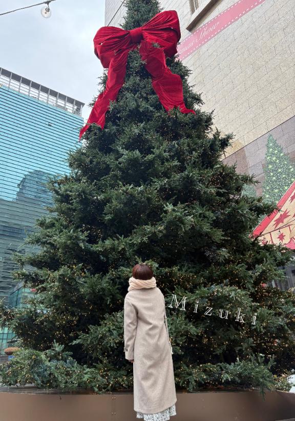 「みずき」の写真