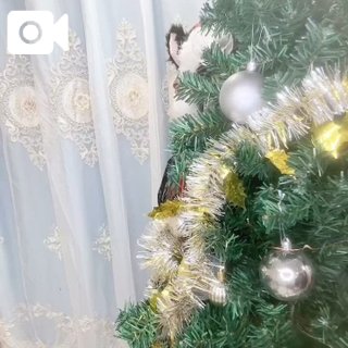 「まいか」の写真