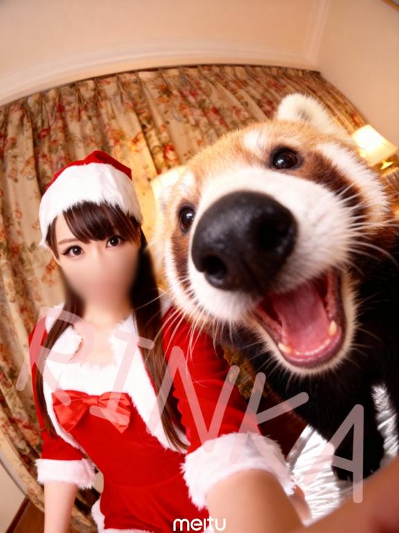 「りんか」の写真