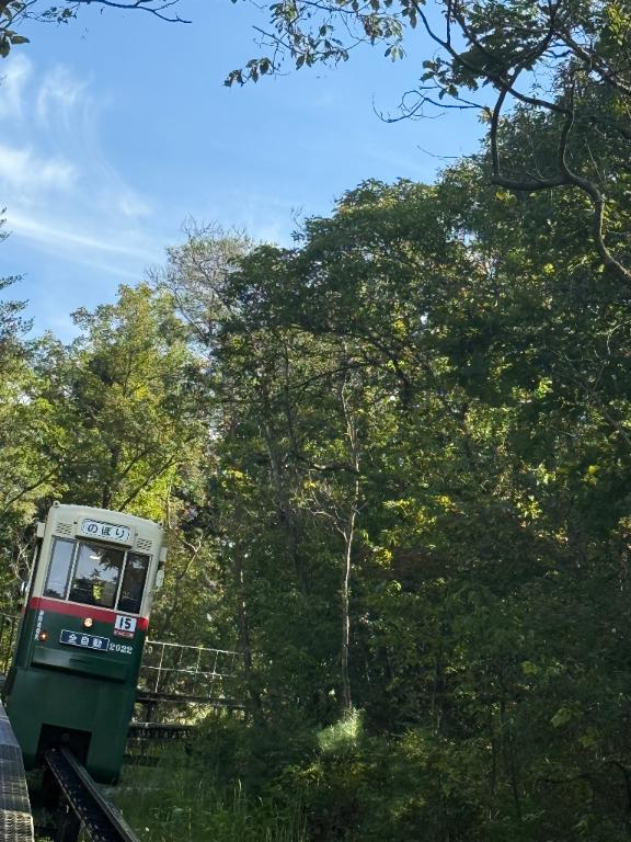 「岸えり」の写真