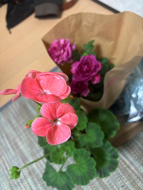 「まき」の写真