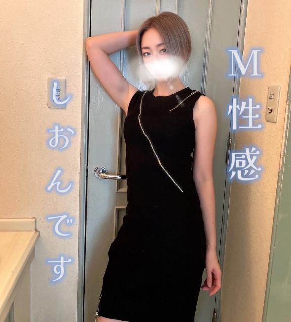 「しおん」の写真