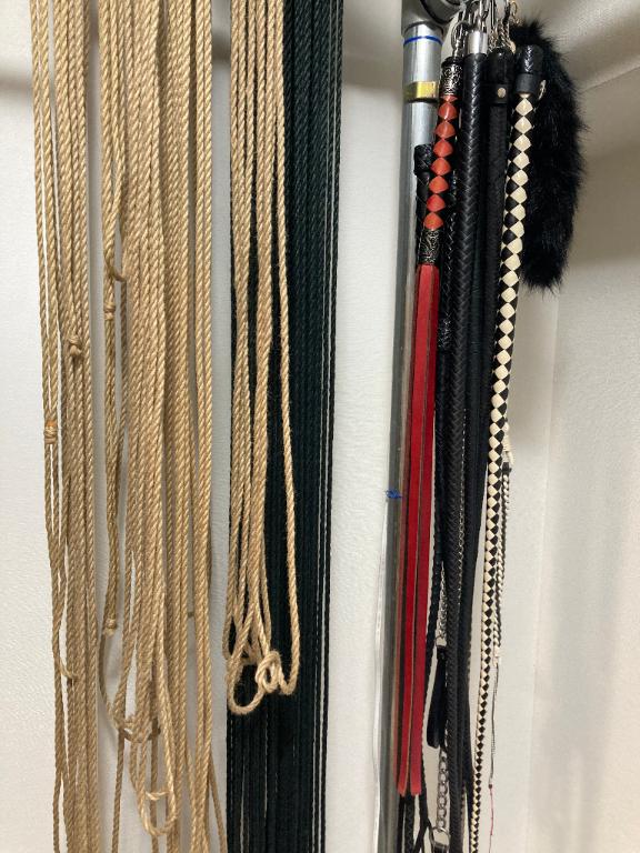 「葉月」の写真