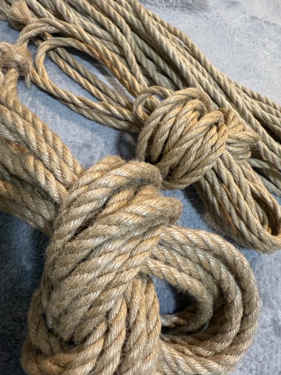 「岸えり」の写真