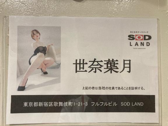 「葉月」の写真