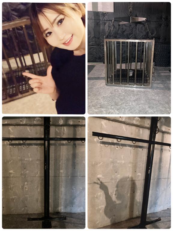 「葉月」の写真