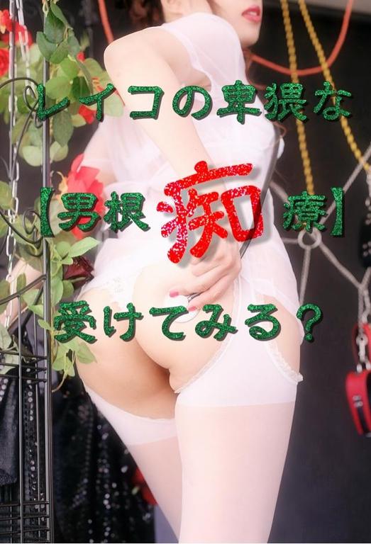 「レイコ」の写真