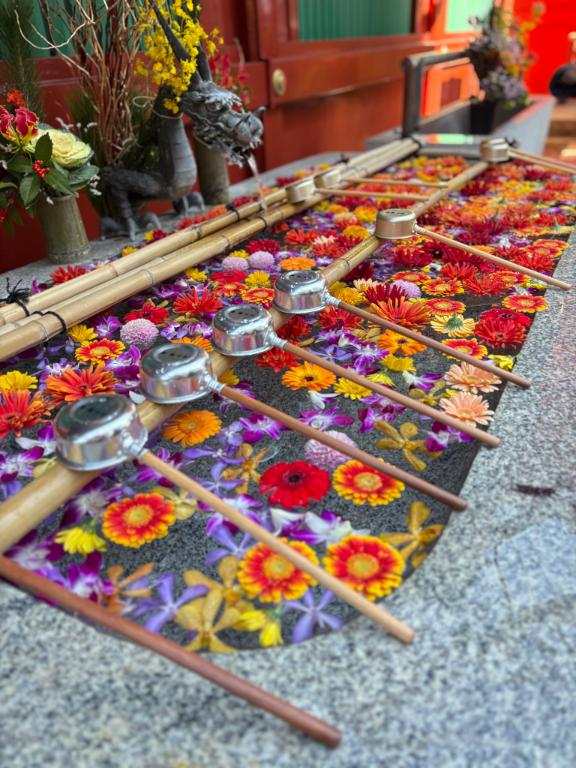 「あいり」の写真