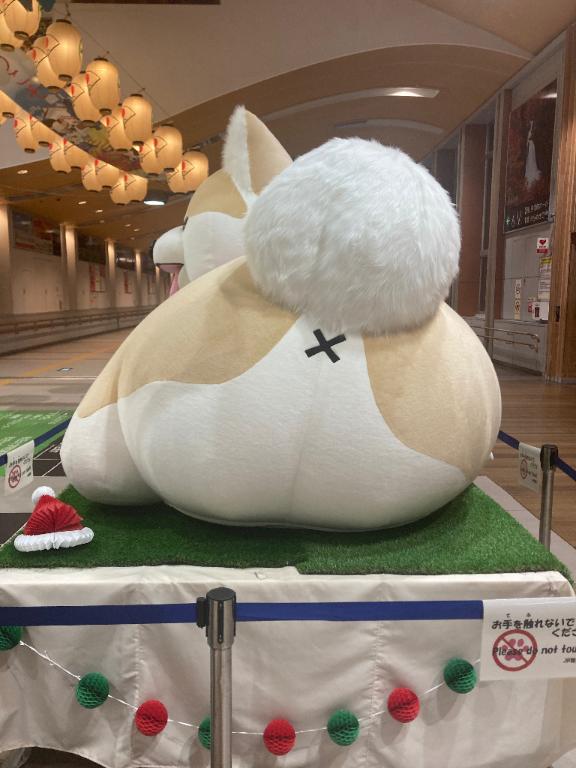 「葉月」の写真