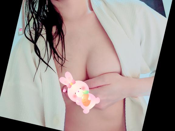 「さくら」の写真