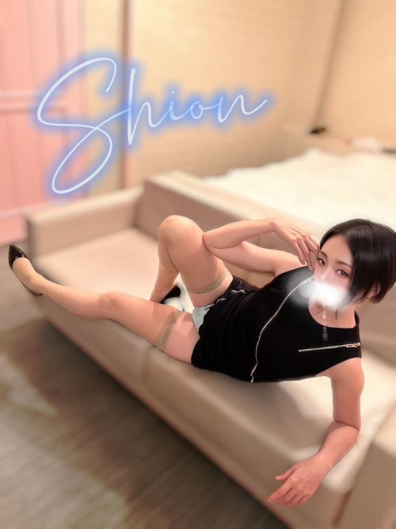 「しおん」の写真