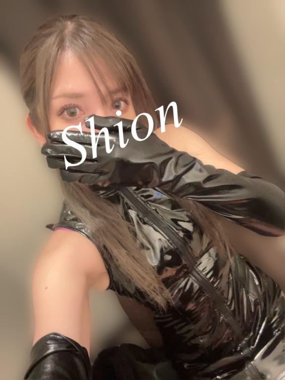 「紫苑（しおん）」の写真