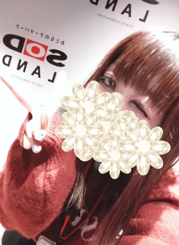 「あおい」の写真