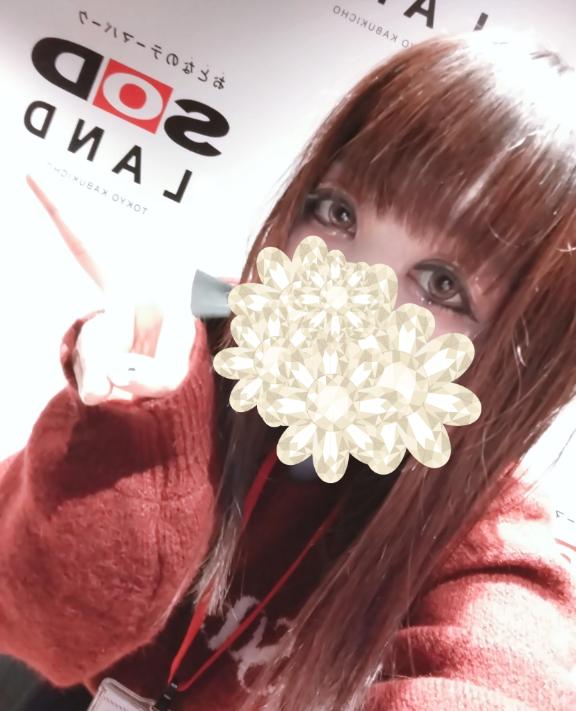 「あおい」の写真