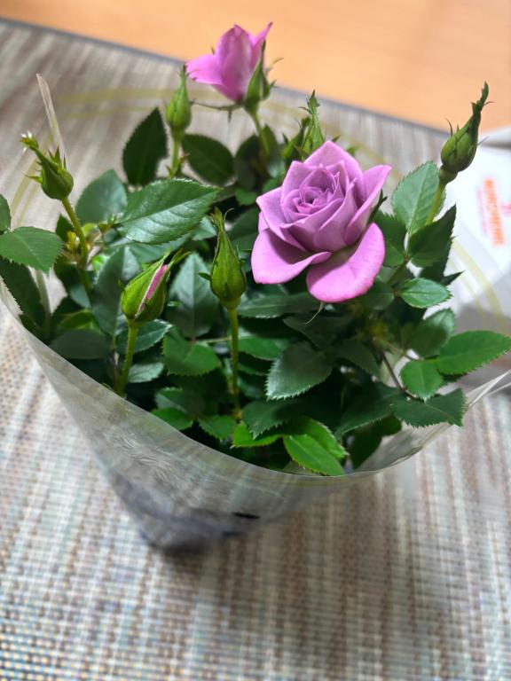 「まき」の写真