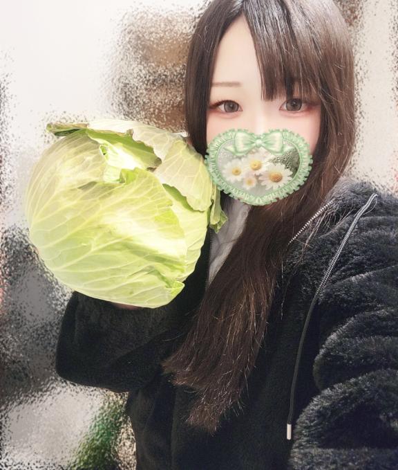 「しのん」の写真