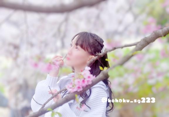 「こはく」の写真