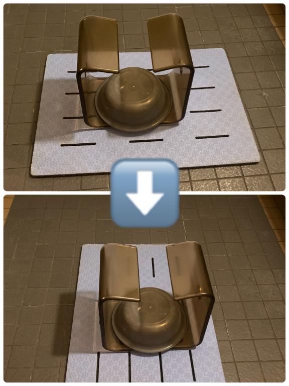 「葉月」の写真