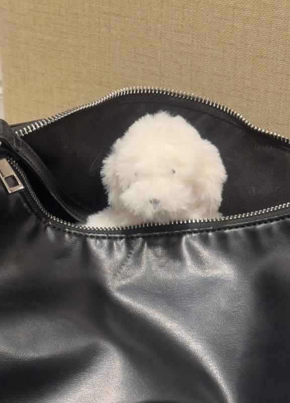 「あすか」の写真