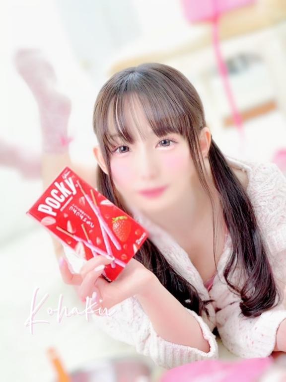 「こはく」の写真