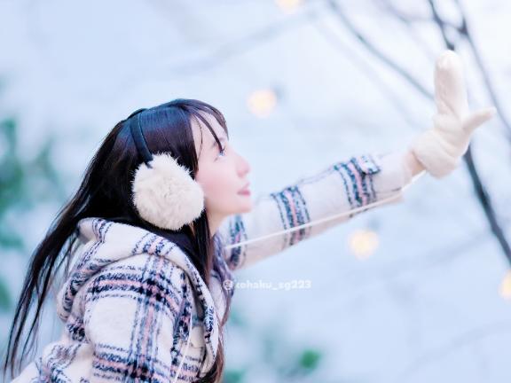 「こはく」の写真