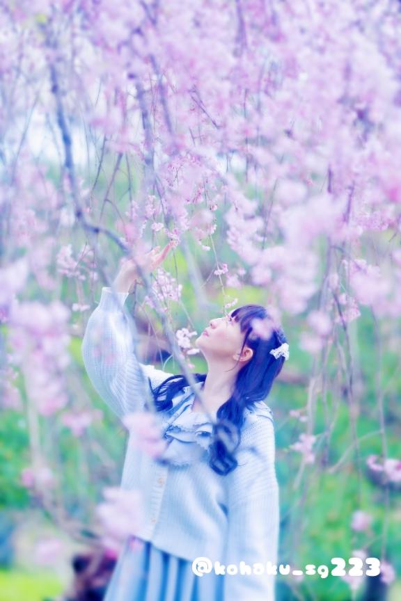 「こはく」の写真