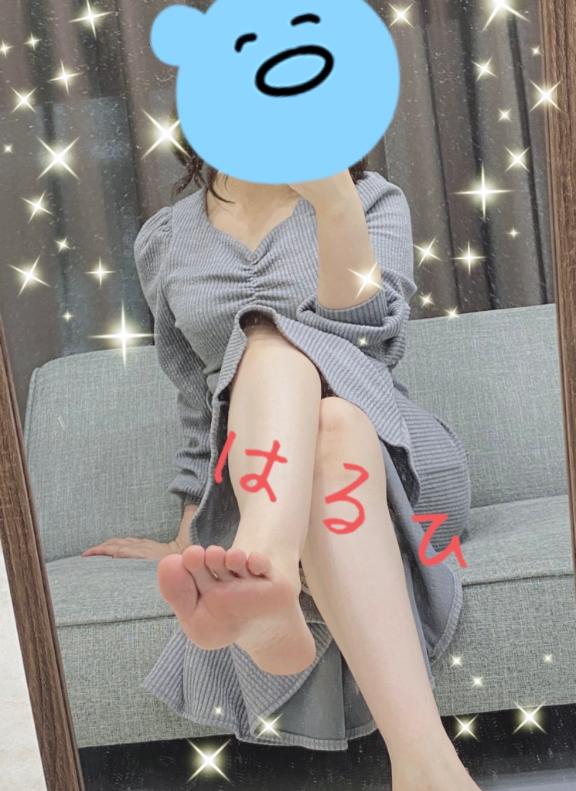 「はるひ」の写真