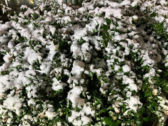 「えりか」の写真