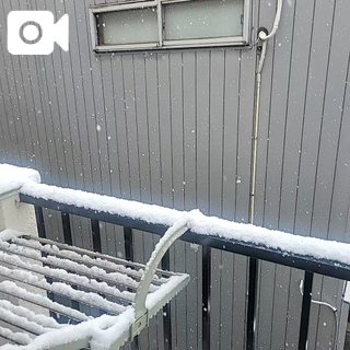 「しのん」の写真